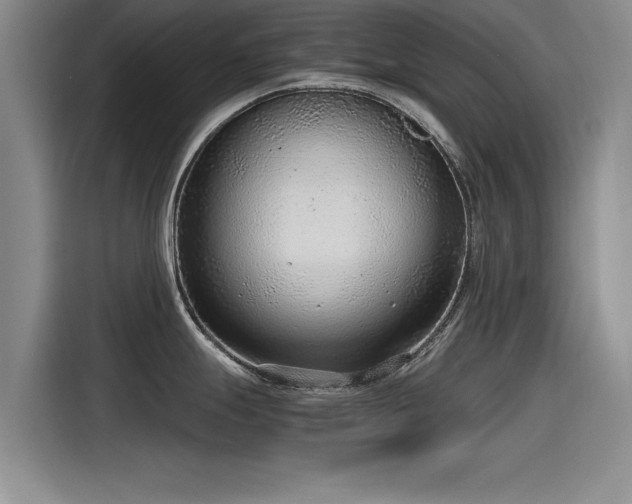 X0000115481247200911131209