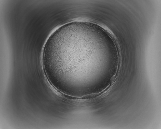 X0000115481248200911131209