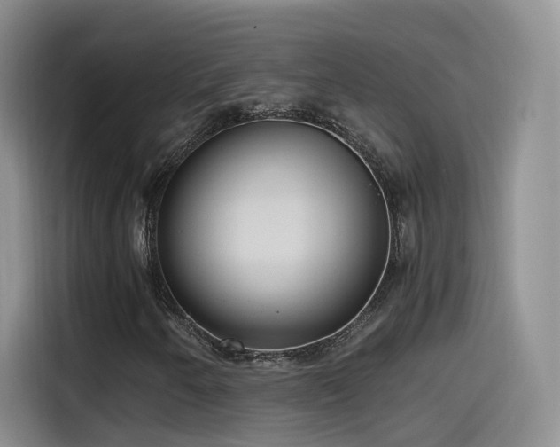 X0000115481250200911131208