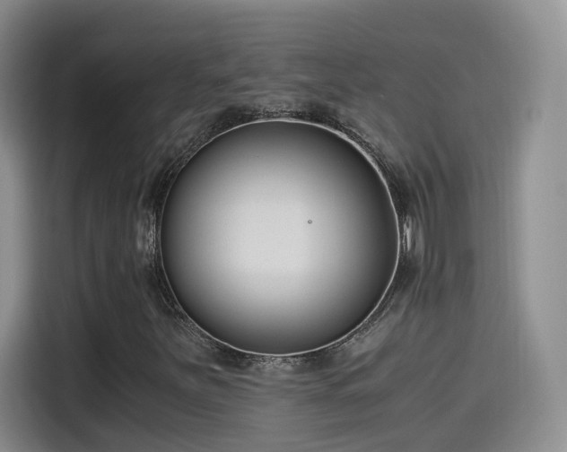 X0000115481251200911131208