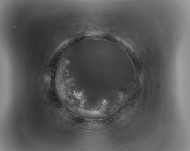 X0000115481254200911131208