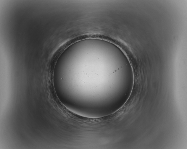 X0000115481255200911131208