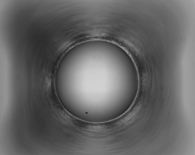 X0000115481257200911131208