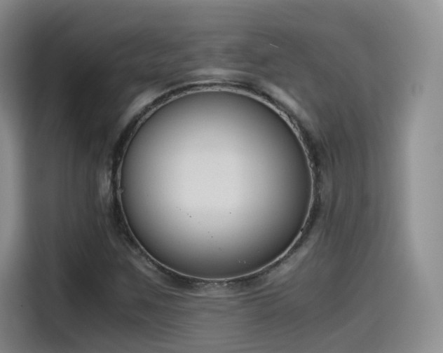 X0000115481259200911131208