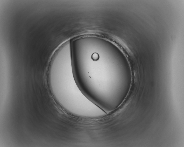 X0000115481260200911131208