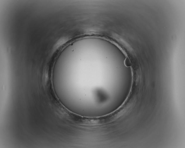 X0000115481261200911131208