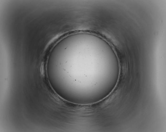 X0000115481262200911131208