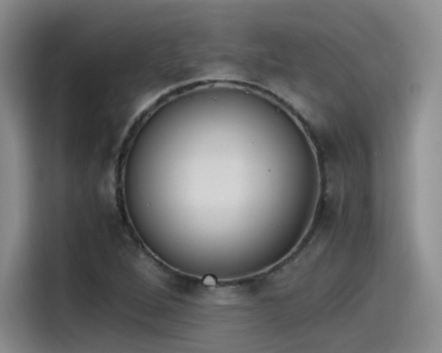 X0000115481264200911131208