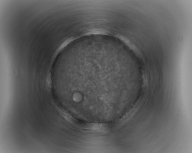 X0000115481266200911131208