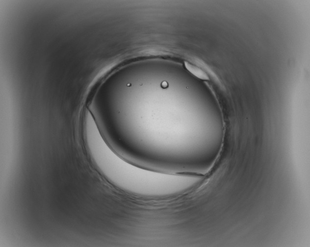 X0000115481269200911131208