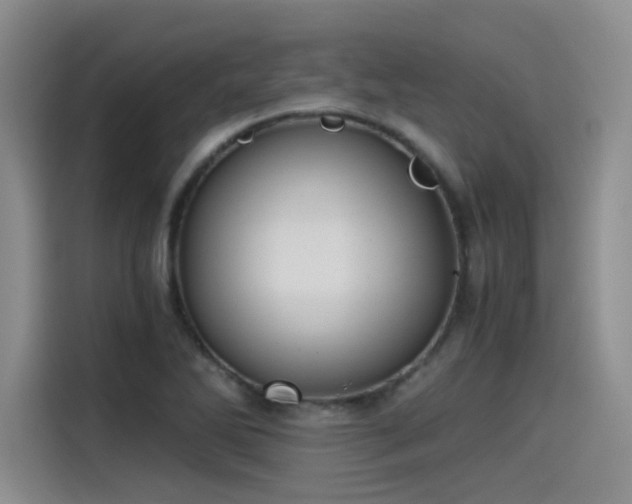 X0000115481270200911131208