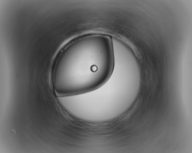 X0000115481272200911131208