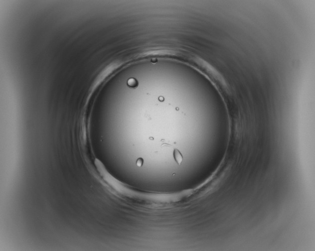 X0000115481274200911131208