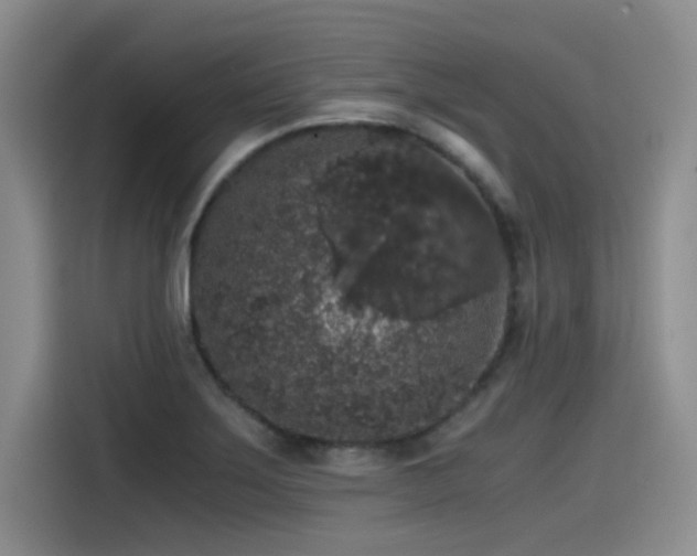 X0000115481275200911131208