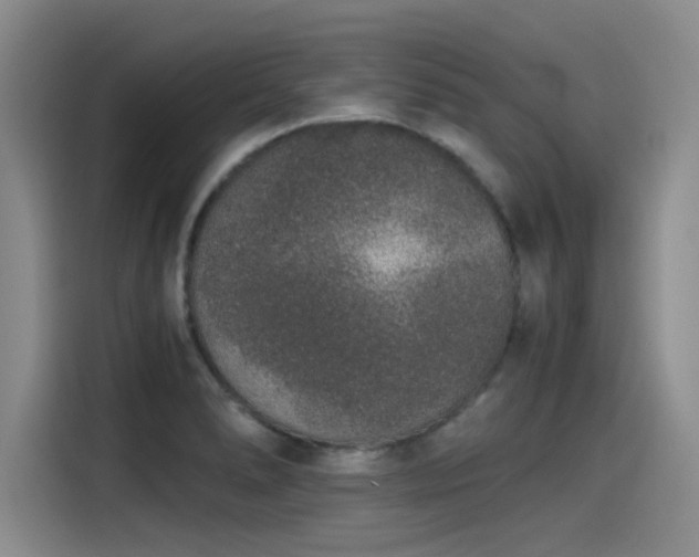 X0000115481278200911131208