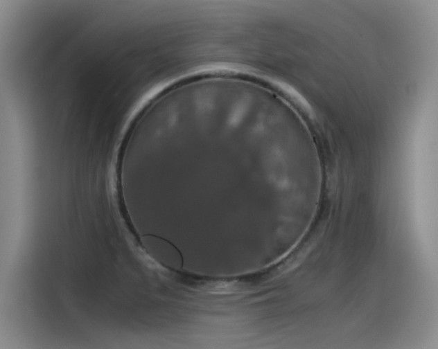 X0000115481279200911131208