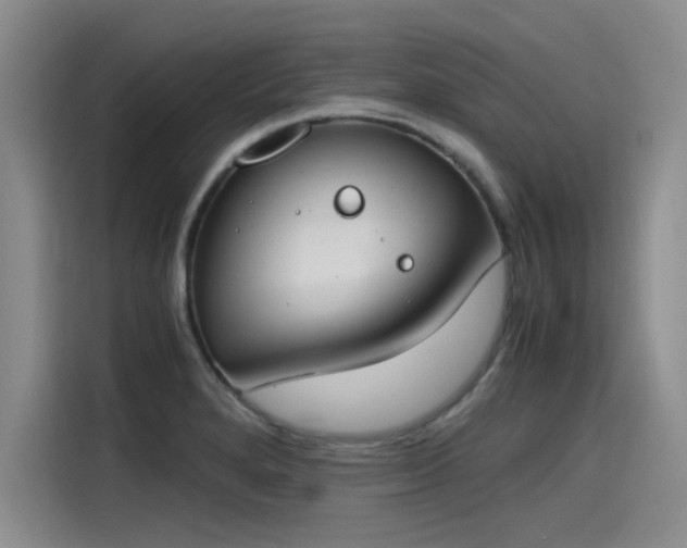 X0000115481280200911131208