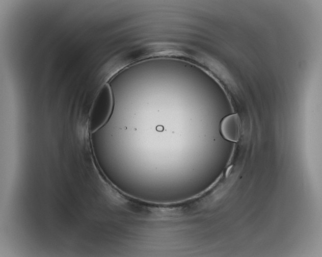 X0000115481281200911131208