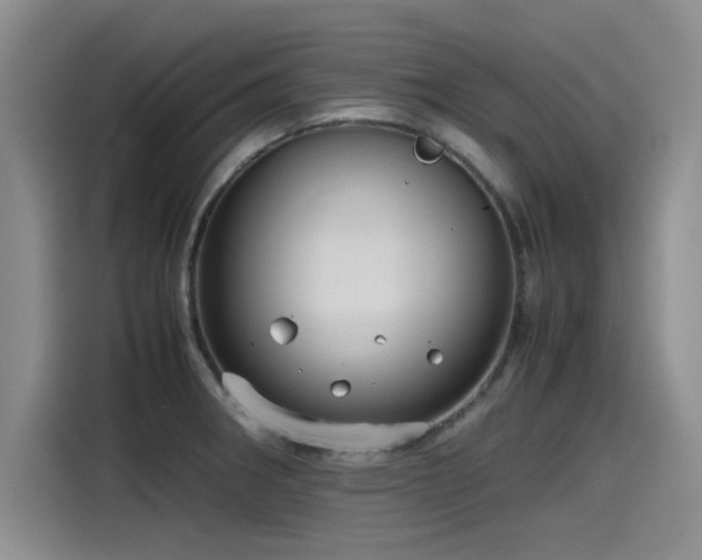 X0000115481282200911131208