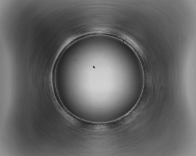 X0000115481283200911131208