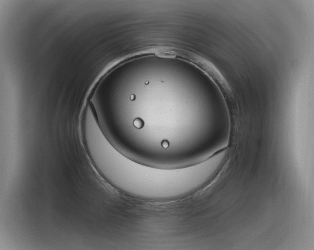 X0000115481284200911131208