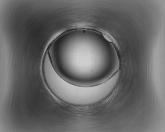 X0000115481285200911131208