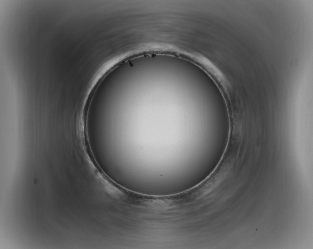 X0000115481287200911131208