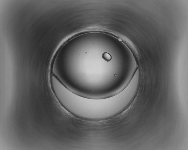 X0000115481288200911131208