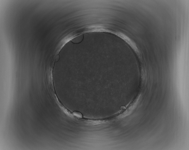 X0000115481289200911131208