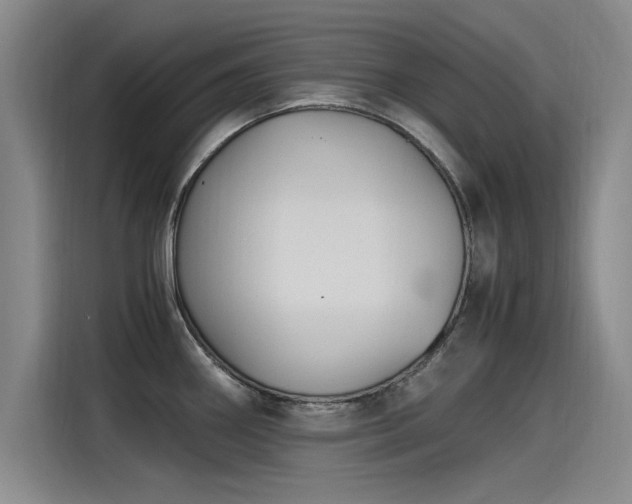 X0000115481290200911131208