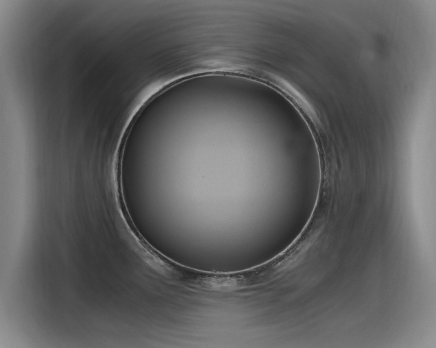 X0000115481291200911131208