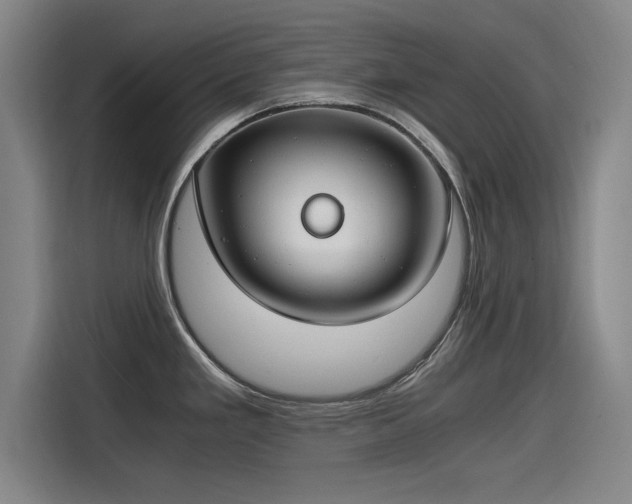 X0000115481293200911131208