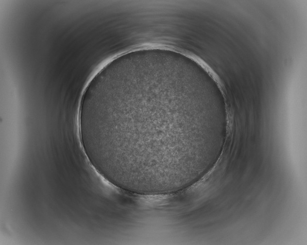 X0000115481294200911131208