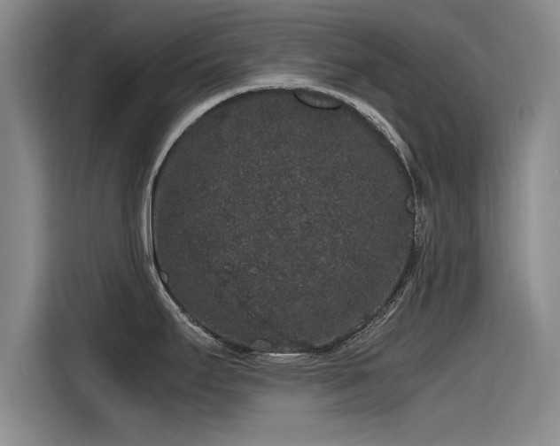 X0000115481295200911131208