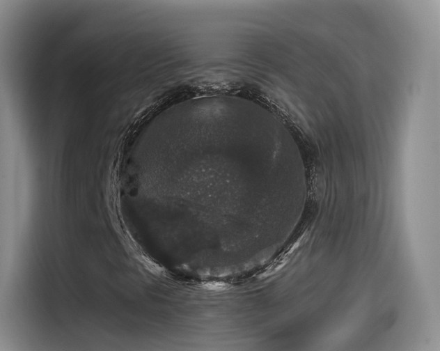 X0000115481297200911131207