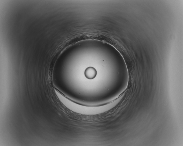 X0000115481298200911131207