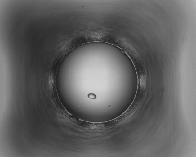 X0000115481299200911131207