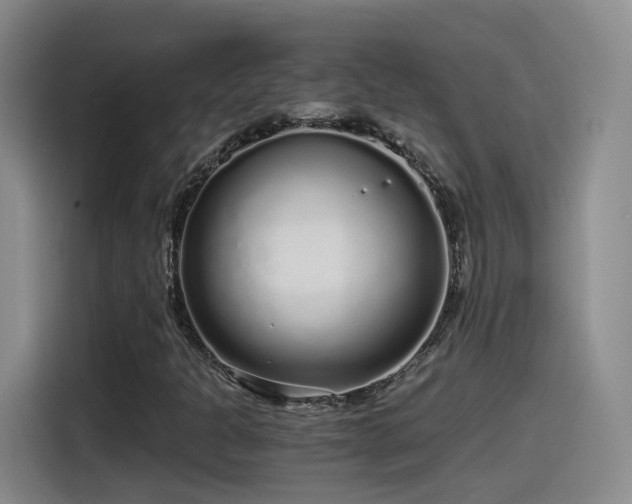 X0000115481301200911131207