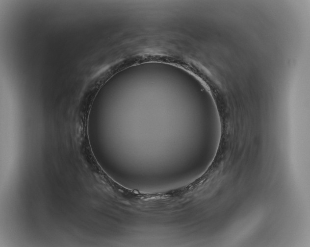 X0000115481303200911131207