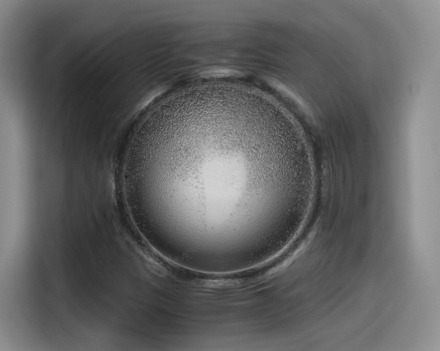 X0000115481305200911131207