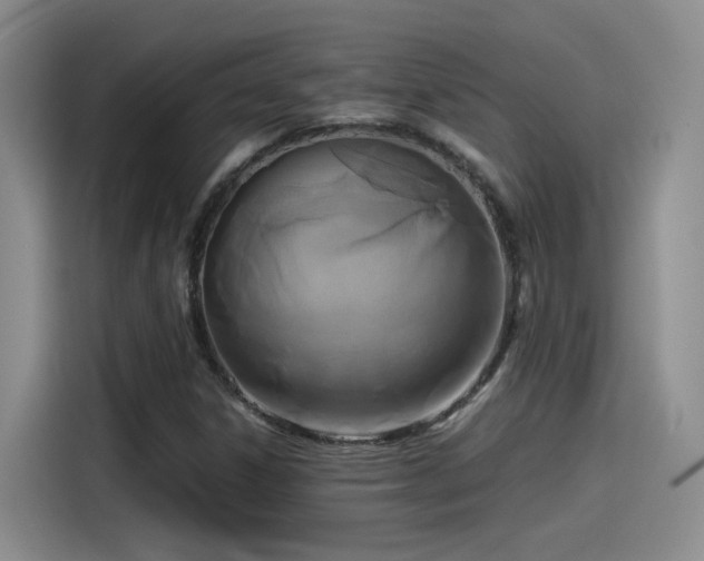 X0000115481306200911131207