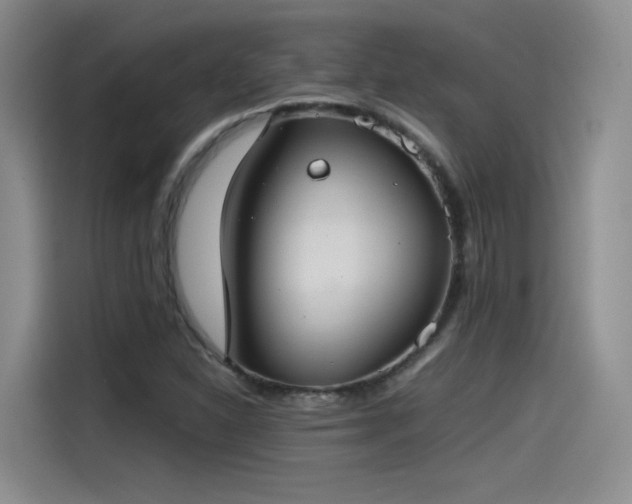 X0000115481310200911131207