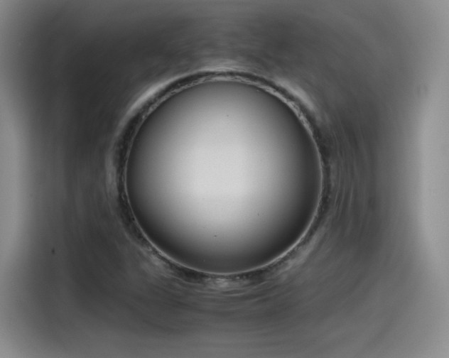 X0000115481311200911131207