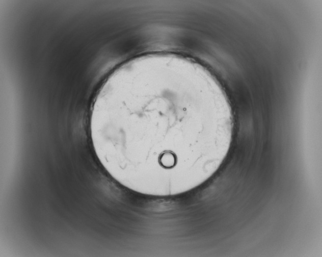 X0000115481314200911131207