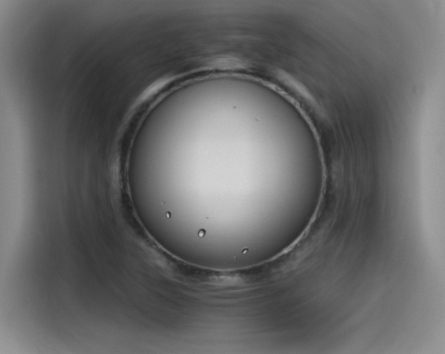 X0000115481315200911131207