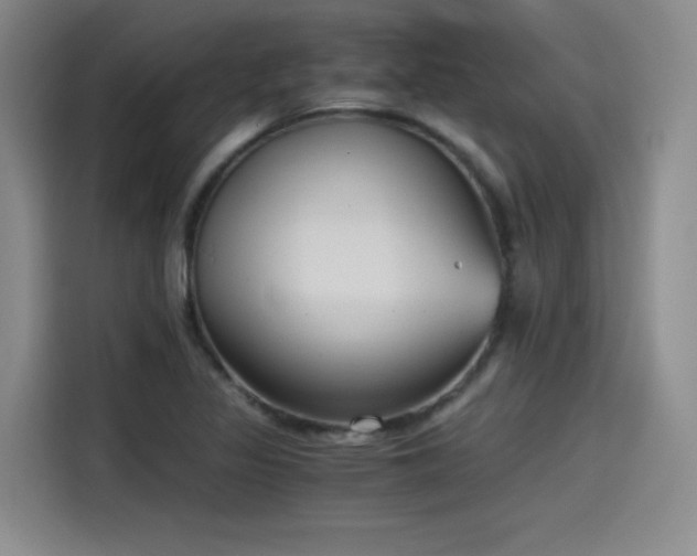 X0000115481317200911131207