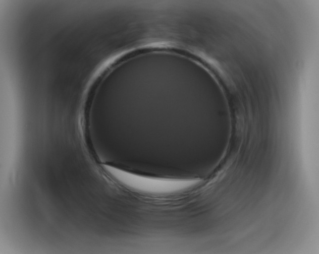 X0000115481319200911131207