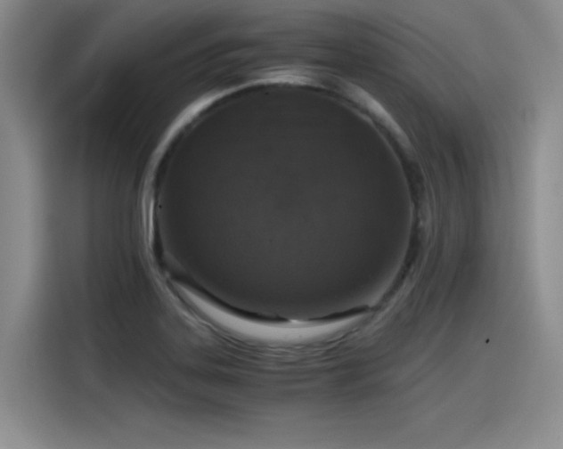 X0000115481323200911131207