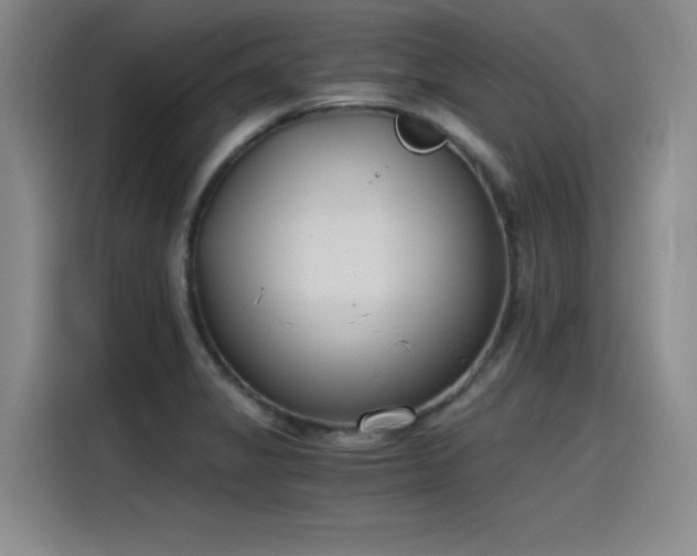 X0000115481325200911131207