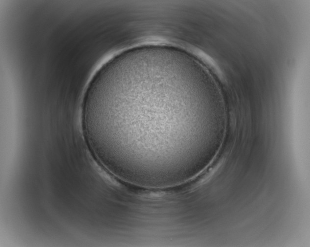 X0000115481326200911131207